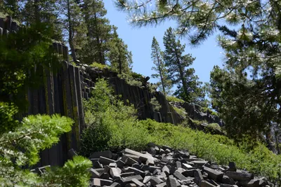 DSC_3677 (Large).JPG